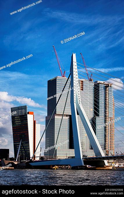 City of Rotterdam in Holland, Netherlands, downtown skyline, skyscrapers and Erasmus Bridge (Erasmusbrug) on Nieuwe Maas river