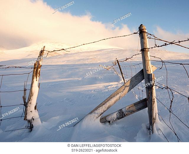 Iceland Frozen Landscape