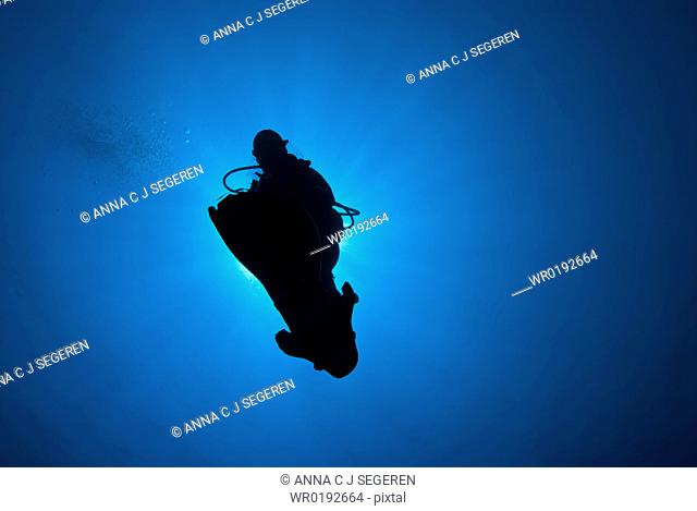 Diver's silhouette in the blue Fiddle Garden, Sharm el Sheikh, South Sinai, Red Sea, Egypt