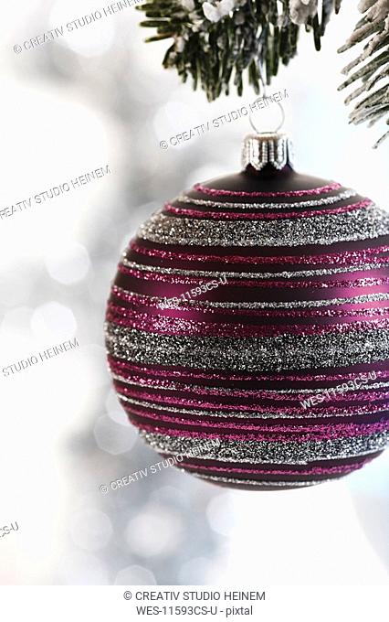 Christmas bauble hanging on fir branch, close-up