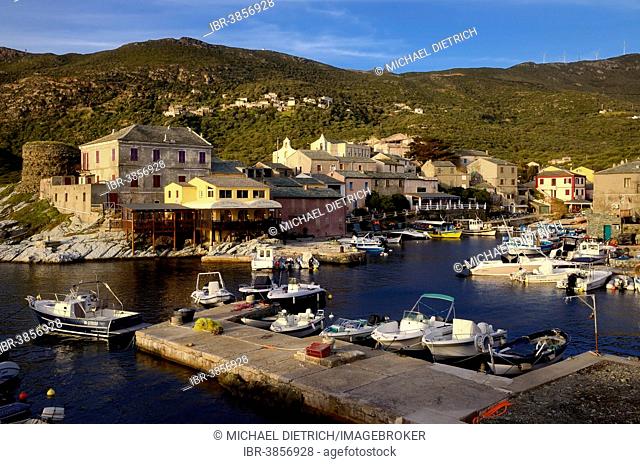 Harbour, fishing village, Port de Centuri, Cap Corse, Corsica, France