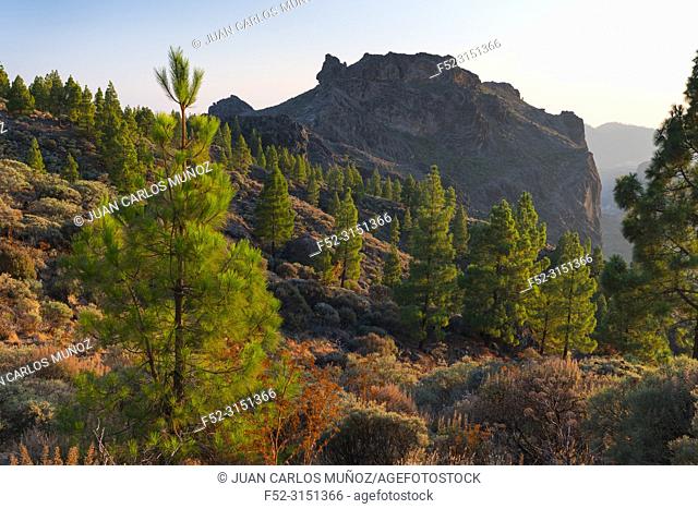 Sunset, Tirajana ravine, Gran Canaria Island, The Canary Islands, Spain, Europe