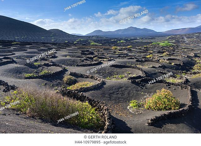 La Geria, Spain, Europe, Canary islands, Lanzarote, volcano earth, volcano ground, volcanical, wine-growing, stone walls, shoots