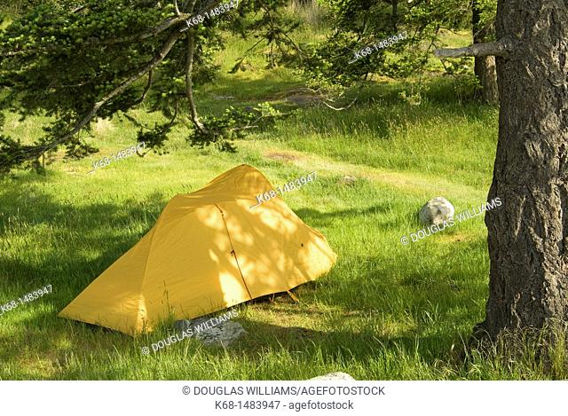 camp ground at Ruckle Park on Salt Spring Island, Gulf Islands, BC, Canada