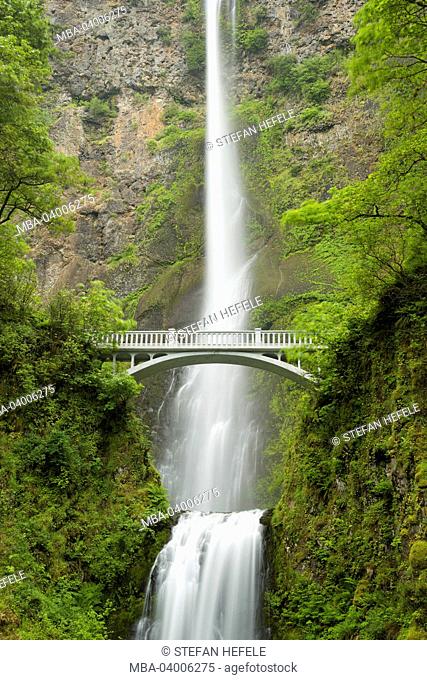 The USA, America, Oregon, Columbia River Gorge, Multnomah Falls, waterfall, bridge, rush green, atmosphere, scenery