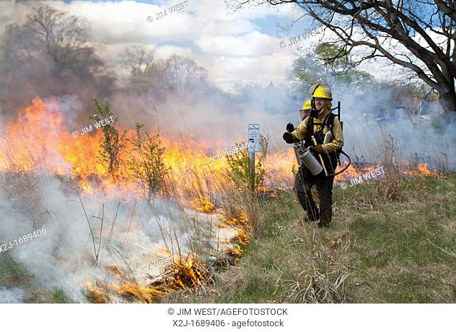Detroit, Michigan - Workers wearing protective clothing burn parts of River Rouge Park with the aim of eliminating invasive species  After the fire