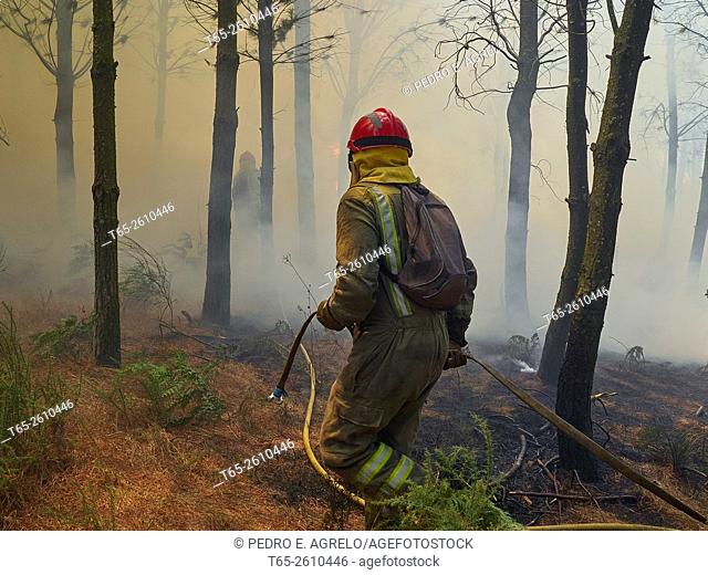 Ground crews working to put out a forest fire. Province of Lugo, Galicia, Spain (July 2015)