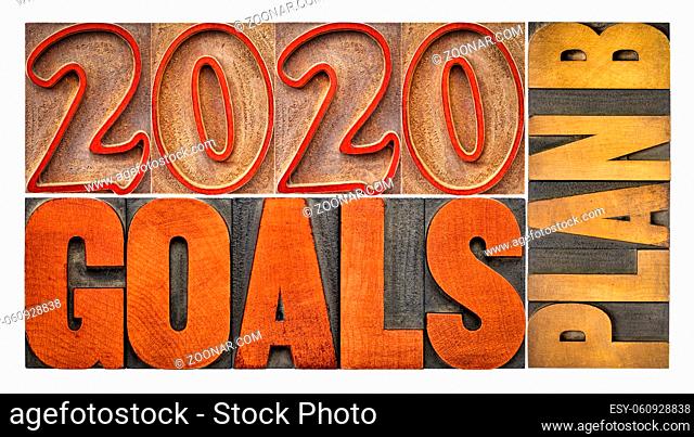 2020 goals plan B - isolated banner in vintage letterpress wood type - revision and changing business or personal plans and goals concept