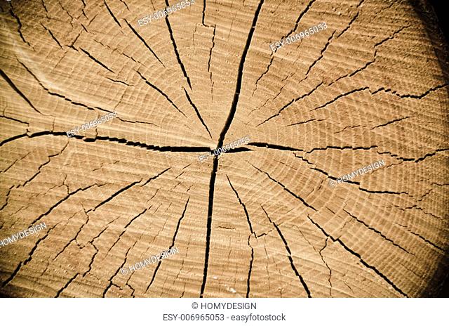 Abstract crack wood spiral style background
