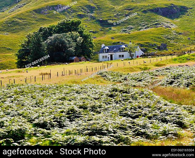 Distant view of Black Rock cottage, Glencoe, Scottish Highlands. High quality photo