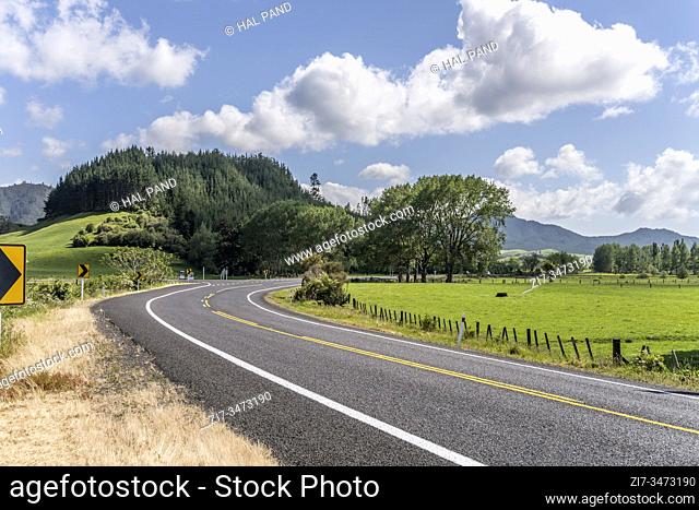 landscape with road bending among fields in green flat countryside, shot in bright late spring light near Hikuai, North Island, New Zealand