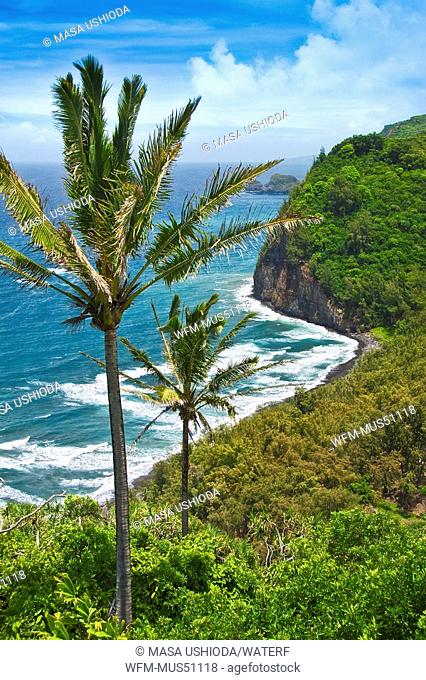 View at Pololu Beach, Kohala Coast, Big Island, Hawaii, USA