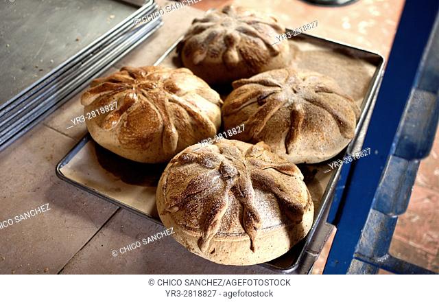 Pan de Muerto in a bakery shop in Pomuch, Hecelchackan municipality, Yucatan State, Mexico. Pan de Muerto is consume by Mexicans every year for the Day of the...