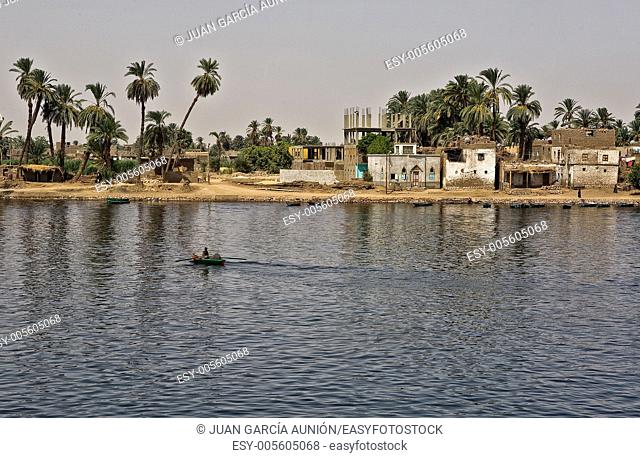 Life on river Nile in Egypt: fisherman are rowing through home, animals are grazing on the shore, palm and small village on the background and blu fresh water...