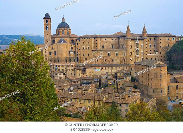 View of town with the Duomo and the Palazzo Ducale, Urbino, Marche, Italy, Europe