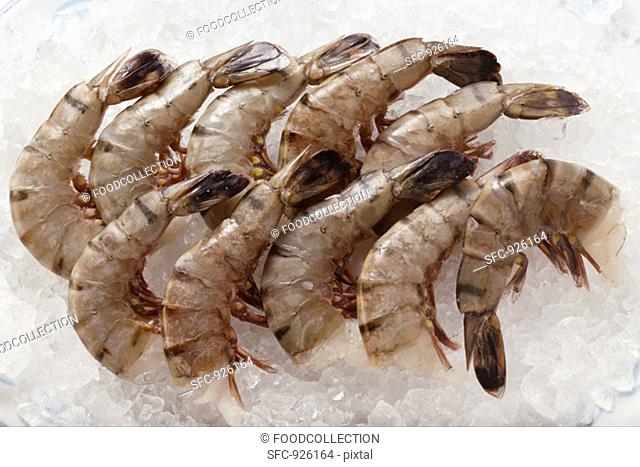 Several king prawns without heads on ice