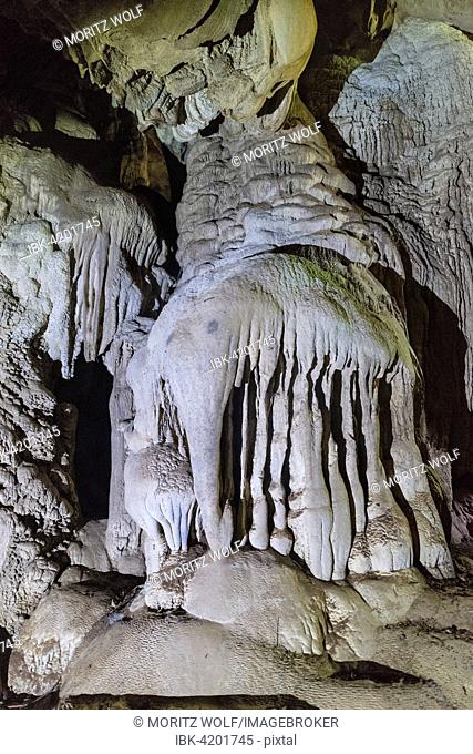 Stalagmite in the shape of an elephant, cave, Elephant Cave, Taman Negara National Park, Jerantut, Pahang, Malaysia