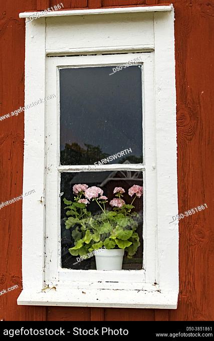 Hofsnas, Sweden Architectural details from a farm, an old window and flowers