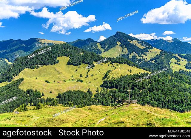 Austria, Tyrol, Unterinntal, Erl, Erlerberg, Kranzhornalm, view to Spitzstein