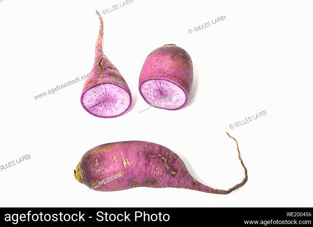 Purple radish on a white background