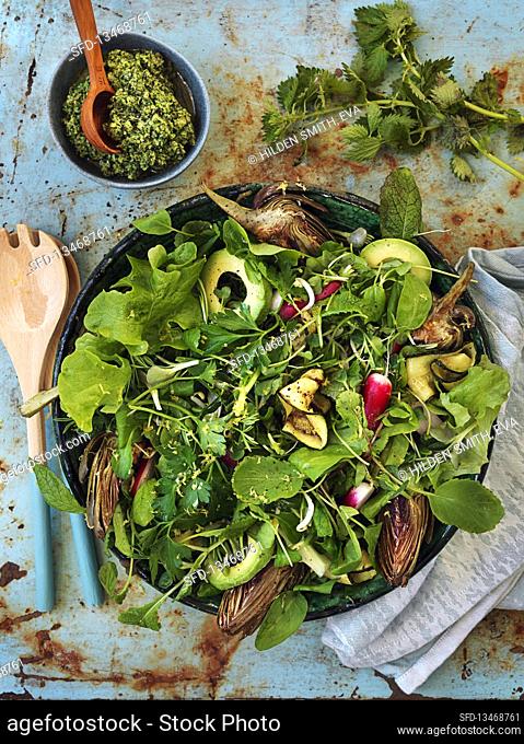 Salad with artichokes, avocado, greens, zucchini, radish, nettels, nettelpesto