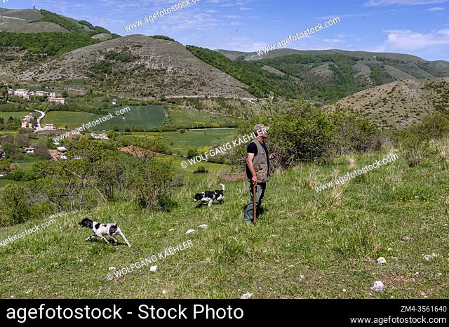 A truffle hunter with his dogs which are being used for truffle hunting near Pettino, a small village in the mountains near Campello sul Clitunno in the...