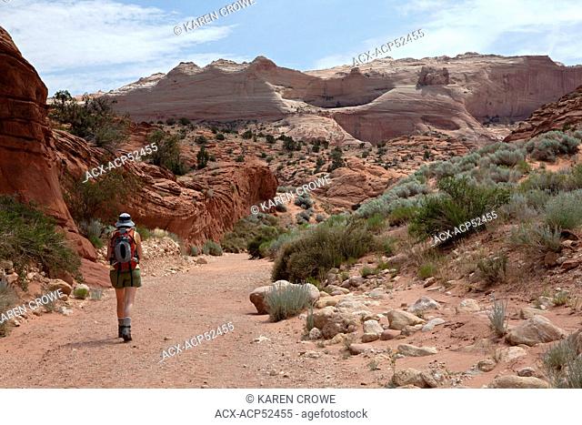 Hiker on the Wire Pass Trail on the way to Buckskin Gulch, Paria Canyon-Vermilion Cliffs Wilderness Area, Utah, United States of America