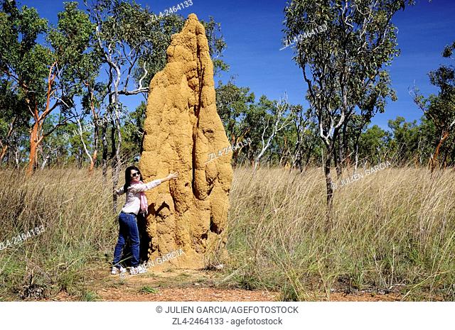 Australia, Northern Territory, Kakadu National Park listed as World Heritage by UNESCO, cathedral termite mound, Model Released
