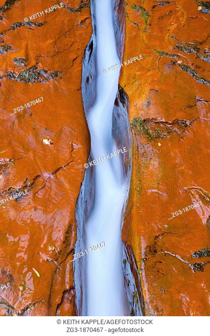 The crack that funnels water through The Subway on the left fork of North Creek at Zion National Park, Utah, USA