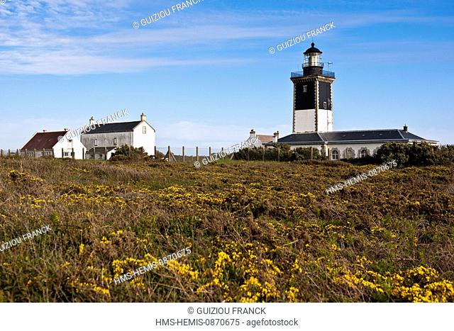 France, Morbihan, Ile de Groix, Pointe de Pen Men Nature Reserve and lighthouse