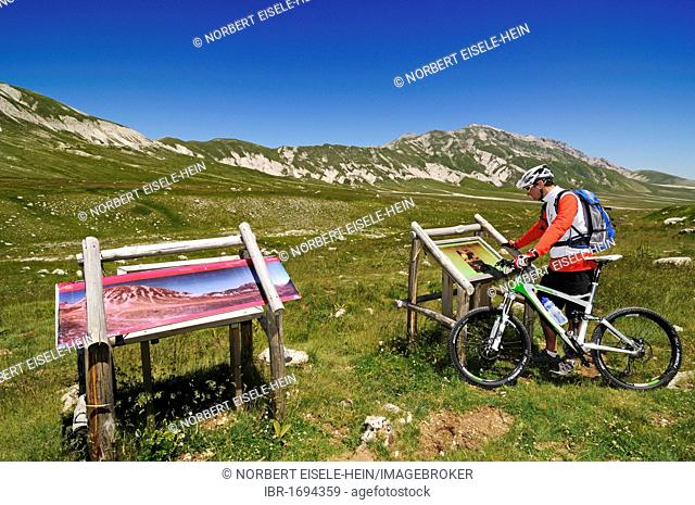 Mountain biker on Monte Aquila, Campo Imperatore, Gran Sasso National Park, Abruzzo, Italy, Europe