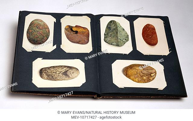 A collection of pebbles found on British beaches. A watercolour by John Fullwood (1854-1931)