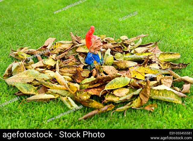 garden gnome, gardening, leaf pile
