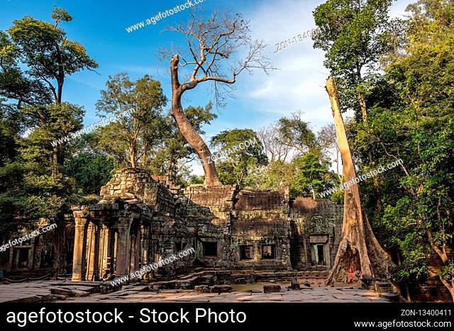Ta Prohm , Angkor , Cambodia, was inscribed on the UNESCO-WHL 1992. The ancient temple where roots of the jungle trees intertwine with the masonry of these...