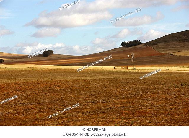 Cederberg Landscape