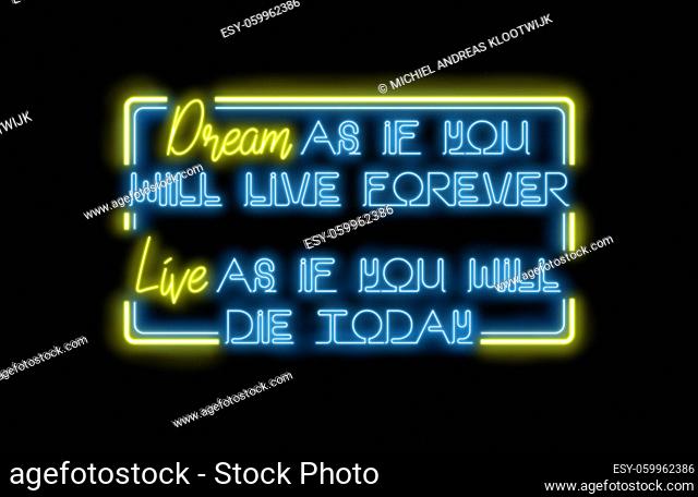 Bright neon lights on a wall - Dream as if you will live forever, live as you will die today