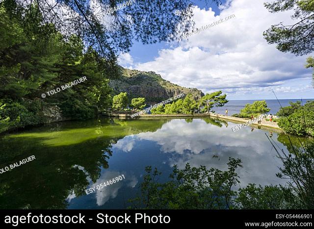 estanque de Sa Costera, Soller, parque natural sierra de Tramuntana, Mallorca, spain, europe