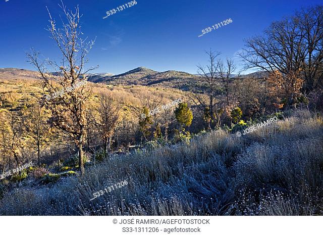 Altos de Coladillos in the Sierra Norte from La Hiruela Madrid Spain