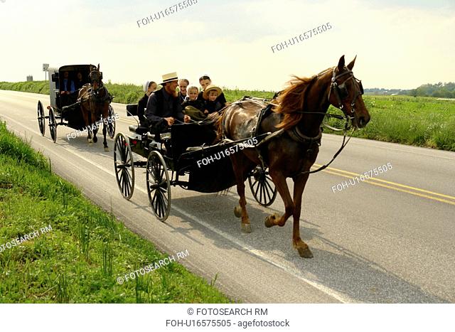 Gap, PA, Pennsylvania, Pennsylvania Dutch Country, Amish, horse and open buggy, buggies, family, road