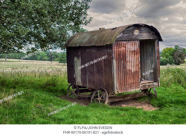 Shepherd's hut with rusty corrugated iron, Hanbury, Droitwich Spa, Worcestershire, England, September