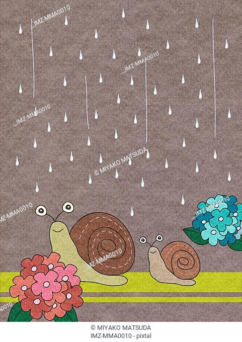 Two snails in rain