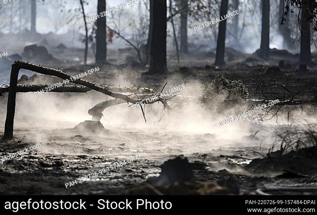 26 July 2022, Brandenburg, Falkenberg: Burned tree stumps smoke in a forest area during a forest fire. Firefighters in Brandenburg continue to fight a large...