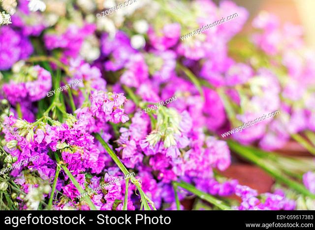 Purple statice flowers with soft light