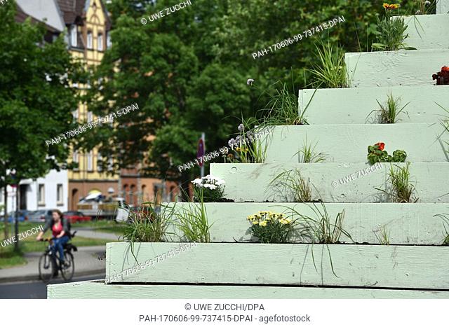 A cyclist passes the artwork ""The Living Pyramid"" by artist A. Denes in Kassel, Germany, 6 June 2017. The documenta 14 art exhibition opens on 10 June 2017 in...