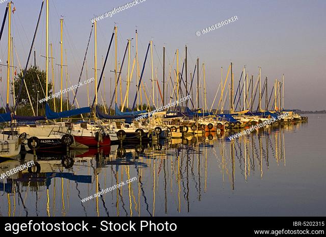 Sailboats in the harbour, Dümmer See, Lower Saxony, Germany, Europe