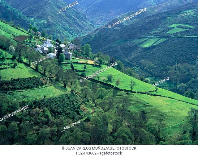 Jantes, Los Ancares mountains. Lugo province, Spain