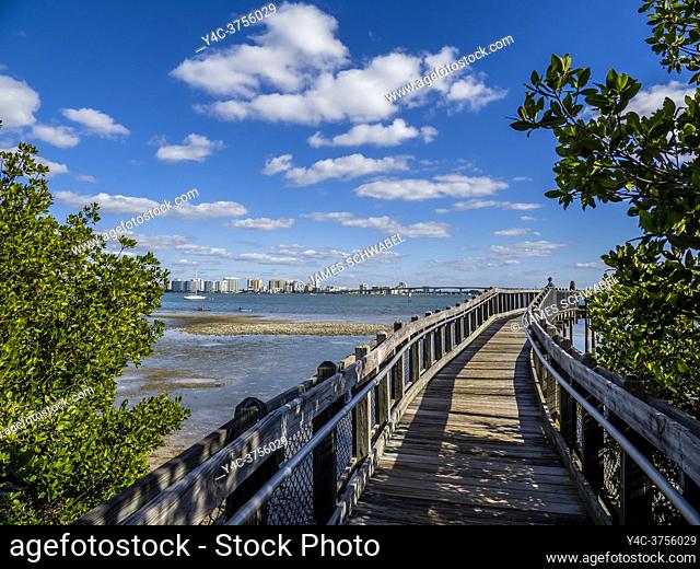 Mangrove Boardwalk on Sarasota Bay in Ken Thompson Park on Lido key in Sarasota Florida USA
