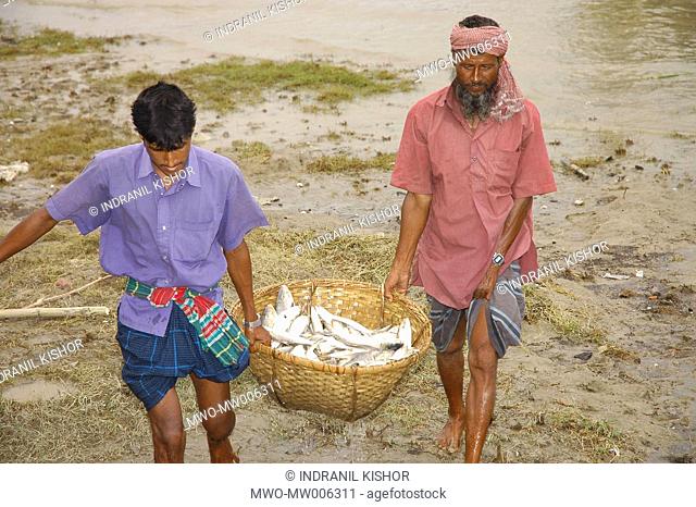 Fishermen carrying basket full of Hilsha fish to the Eshan bala fish market, Chandpur, Bangladesh July 9, 2005