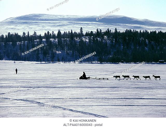 Finland, snowmobile and reindeer in silhouette