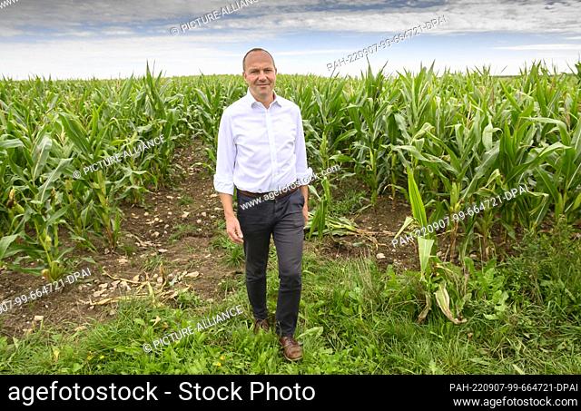 07 September 2022, Saxony, Klingenberg: Saxony's Minister of State for the Environment and Agriculture Wolfram Günther (Greens) stands in a cornfield after the...